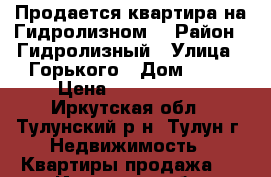 Продается квартира на Гидролизном. › Район ­ Гидролизный › Улица ­ Горького › Дом ­ 28 › Цена ­ 1 450 000 - Иркутская обл., Тулунский р-н, Тулун г. Недвижимость » Квартиры продажа   . Иркутская обл.